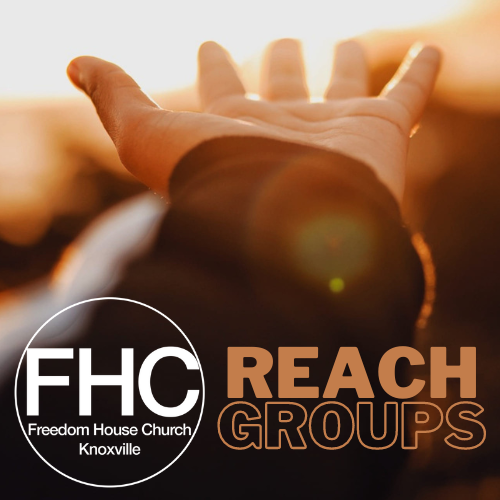 REACH Groups